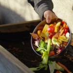 Compostaje de Residuos de Restaurante: Aprovechando Desechos para Fertilización