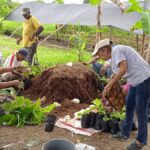 Compostaje en Comunidades Rurales: Impulsando la Sostenibilidad Agrícola