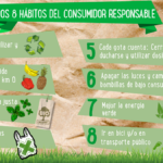 Desarrollo de Hábitos de Compra Consciente: Pasos para Reducir Residuos