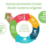 Empresas Sociales y su Contribución a la Gestión Sostenible de Residuos