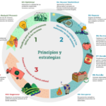 Iniciativas de Economía Circular en la Agricultura: Redefiniendo la Gestión de Desechos