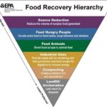 Noticias sobre la Reducción de Residuos Alimentarios: Nuevas Estrategias en Marcha