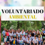 Programas de Voluntariado en Educación Ambiental: Empoderando a la Comunidad para la Acción