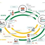Residuos Sólidos en la Economía Global: Flujos y Desafíos