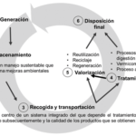 Un Vistazo al Ciclo de Vida de los Productos y su Impacto en los Desechos Sólidos